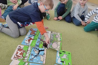 Obrázek č.15